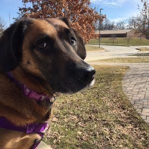 Meet your Posher, Ashley